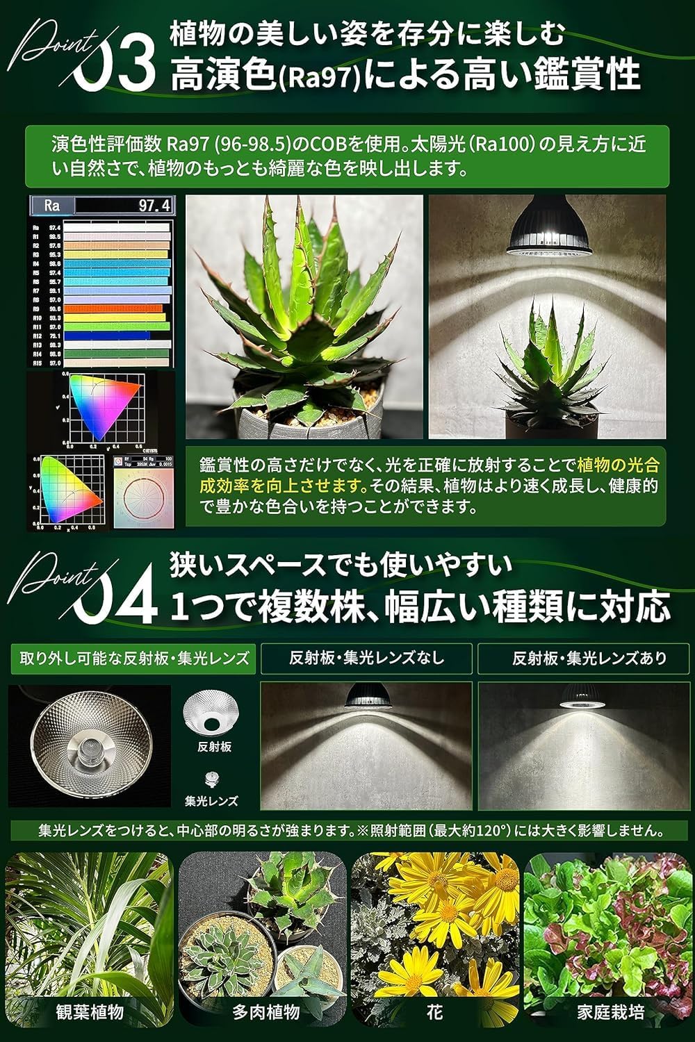 楽天市場】BRIM(ブリム) 公式店 グリーンアドバイザー推薦 BRIM(ブリム