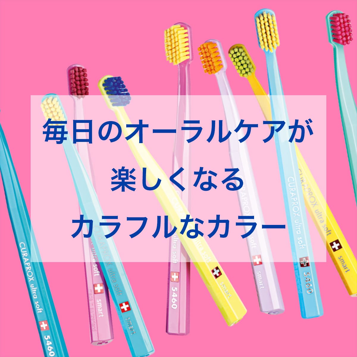 楽天市場】【スーパーSALE｜P10倍＋最大300％ポイントバック】【公式