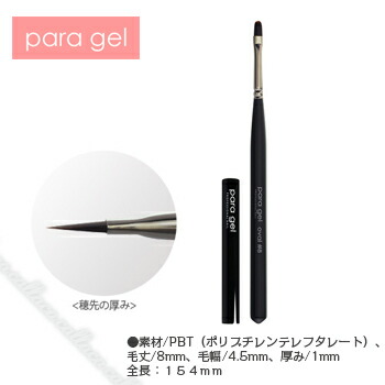 楽天市場】オーバル パラジェル ブラシの通販