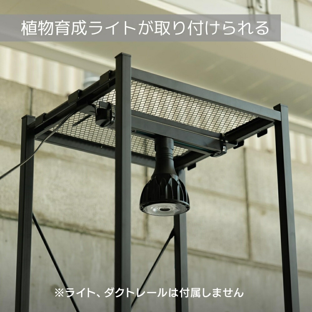 楽天市場】全商品10%OFF ビザールプランツラック 植物ラック 植物棚