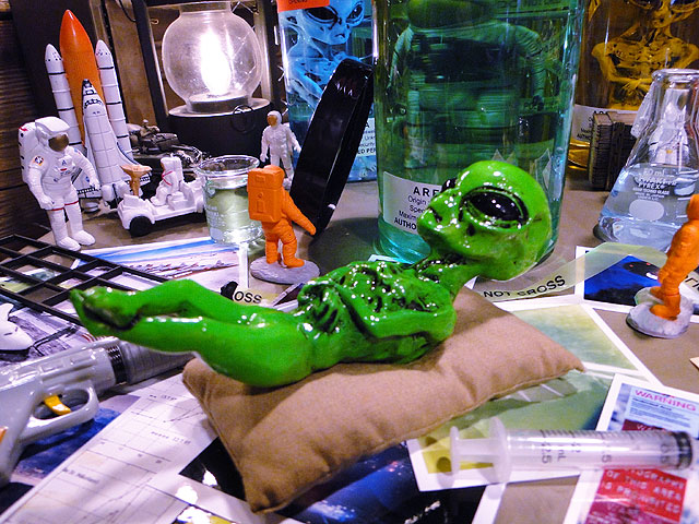 楽天市場】【捕獲成功！飼い主求む！】 累計販売数5000個突破！ エリア