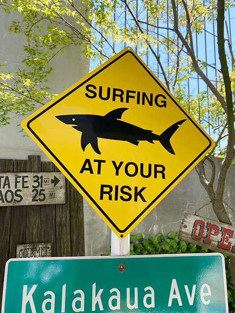 楽天市場】「サーフィンするならサメに注意！」 警告看板 アメリカン