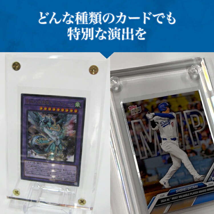 楽天市場】ウルトラプロ (Ultra Pro) 1/2インチ スクリューダウン