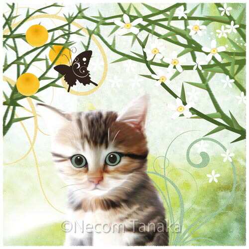 楽天市場】猫夢アート版画 「からたちの花」キジトラ【猫 アート