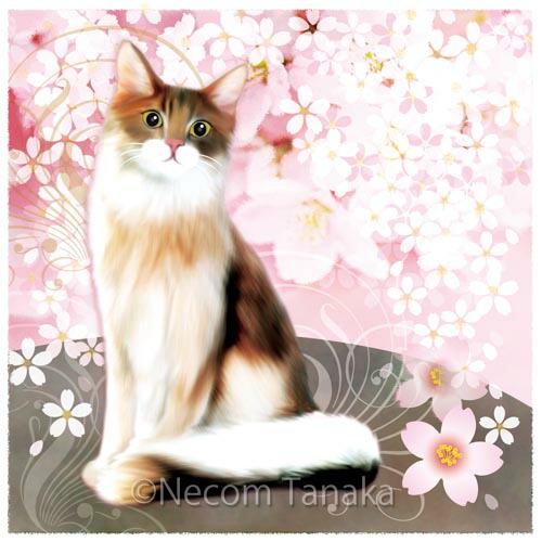 楽天市場】猫夢アート版画「桜と猫2」メインクーン 長毛 【猫 アート
