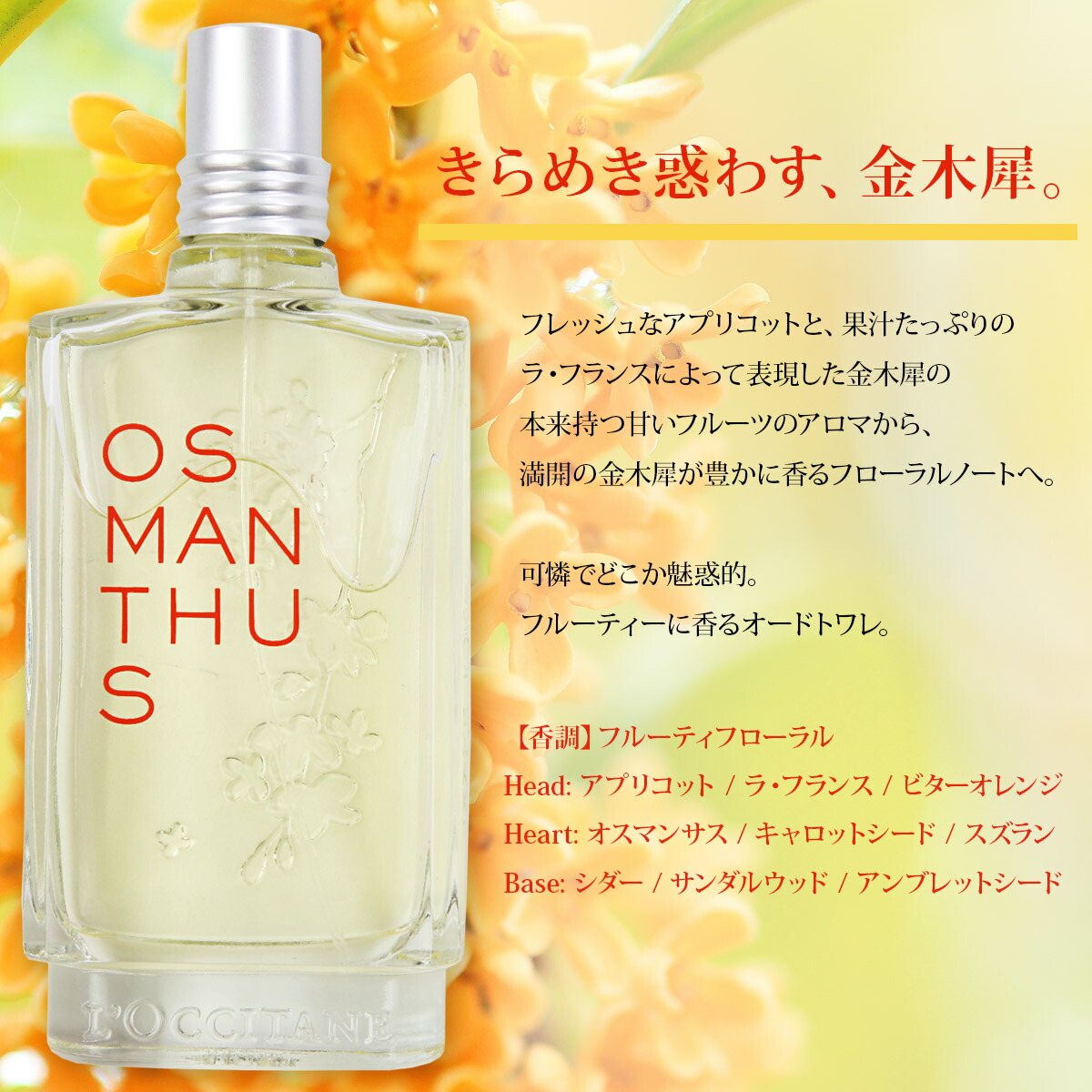 楽天市場】ロクシタン 金木犀 香水 オスマンサス オードトワレ 75ml