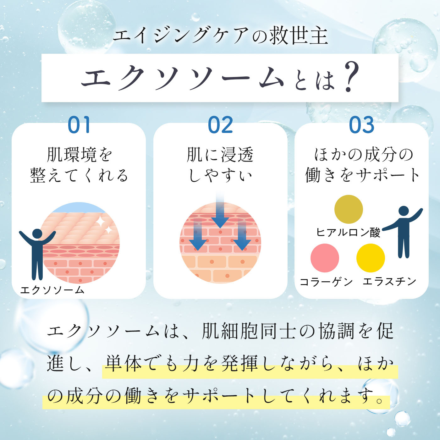 楽天市場】【～3/11 最大50%OFF 大ｾｰﾙ】【エクソソーム/ヒト幹細胞