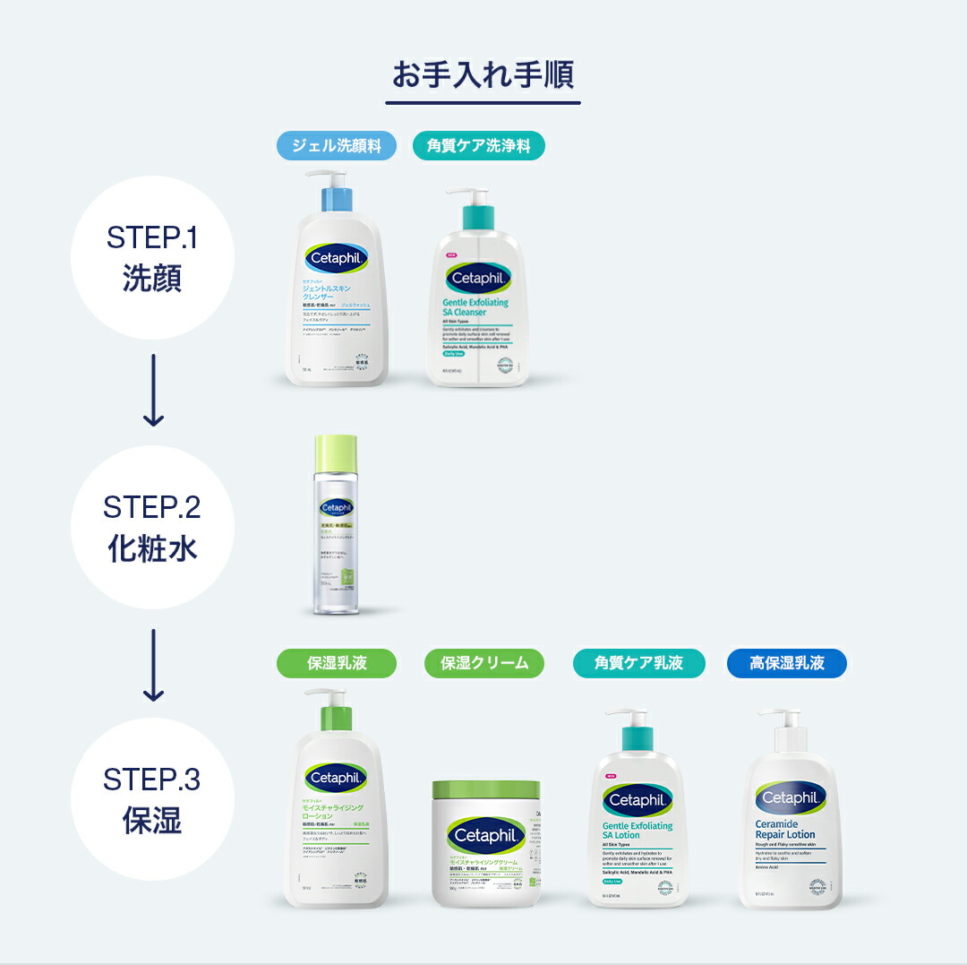 楽天市場】【P10倍☆3/11 1:59まで】【セタフィル 公式】 [楽天ベスト
