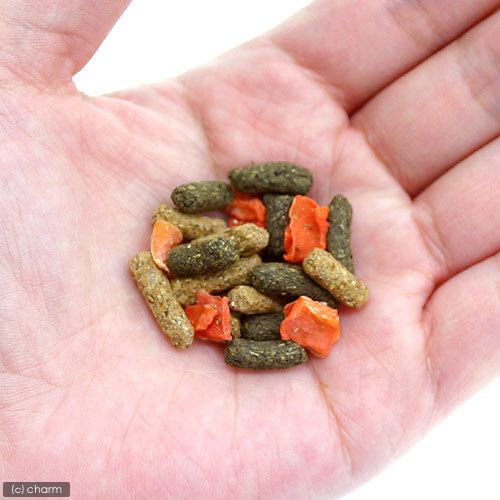 楽天市場】GEX シートン ウサギの健康食 にんじんプラス 300g