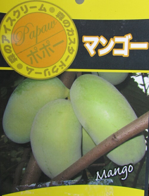 楽天市場】【現品発送】ポポー マンゴー 接ぎ木苗 7号 G521《果実を