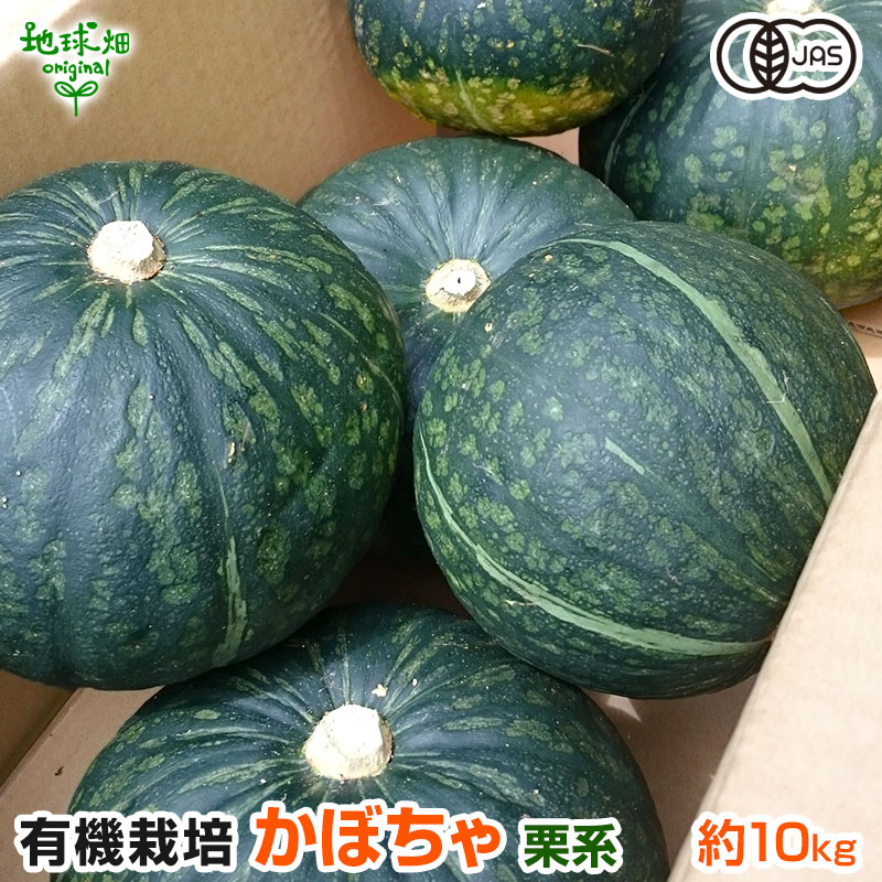 楽天市場】有機かぼちゃ 約10kg(4〜10玉) 鹿児島県産 宮崎県産 熊本県