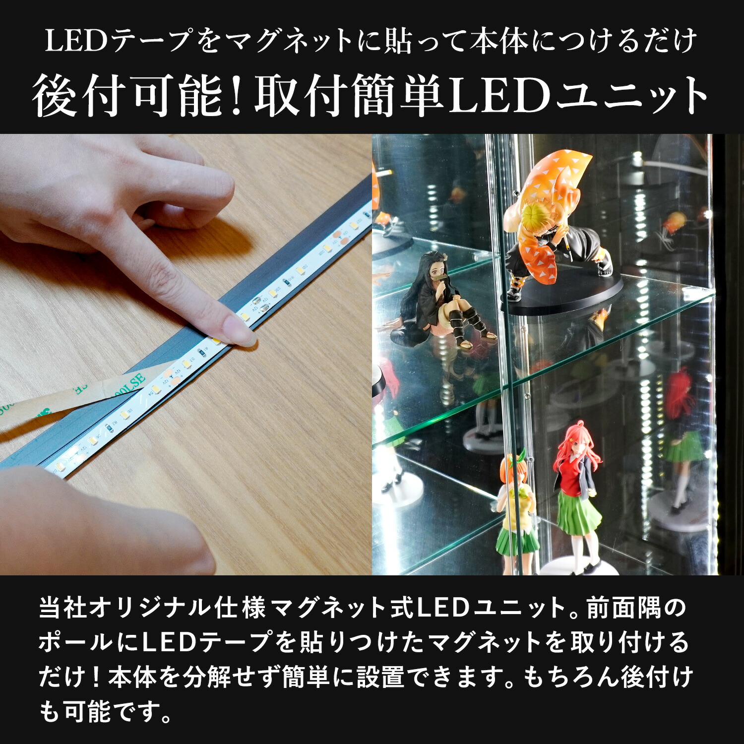 楽天市場】[オプション] 地球家具 ガラスコレクションケースJONY/MISTA