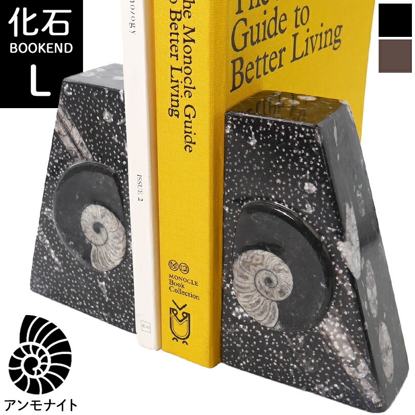 楽天市場】Lサイズ アンモナイト【化石ブックエンド】大理石 ブック