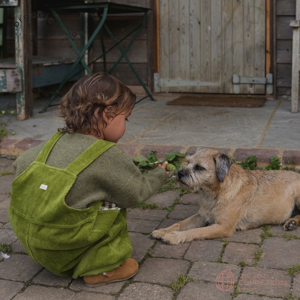 楽天市場】【organic zoo】Peapod Farmer Dungarees / オーガニック