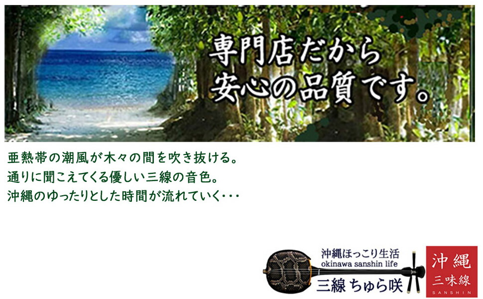 楽天市場】【中型三線】初心者向け中型三線15点セット（特別ご奉仕品