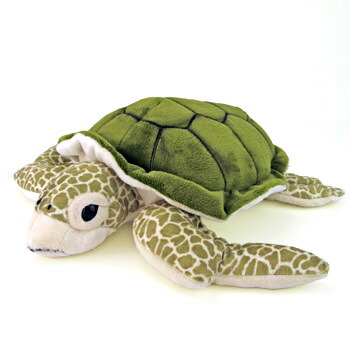 楽天市場】カメ ぬいぐるみ アオウミガメ Mサイズ | 水族館 亀 カメ 海