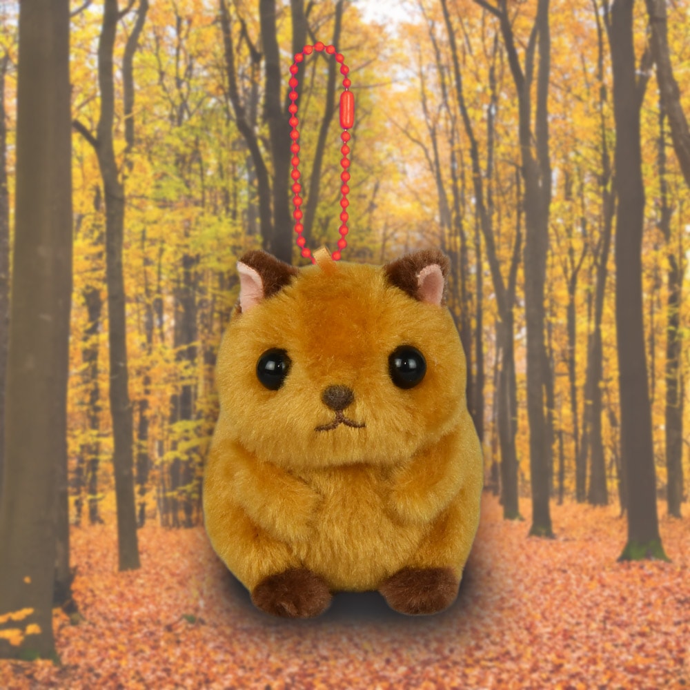 楽天市場】あみゅ まるころリスのころりん LMCきゃめるん マスコット