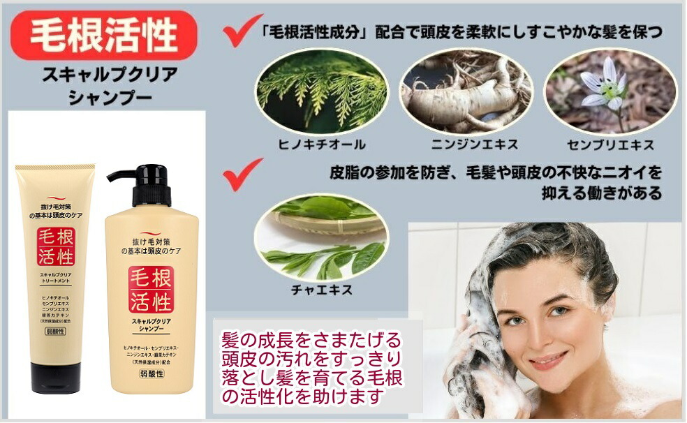 楽天市場】根活性成 スキャルプクリア シャンプー 550mL [1-6本