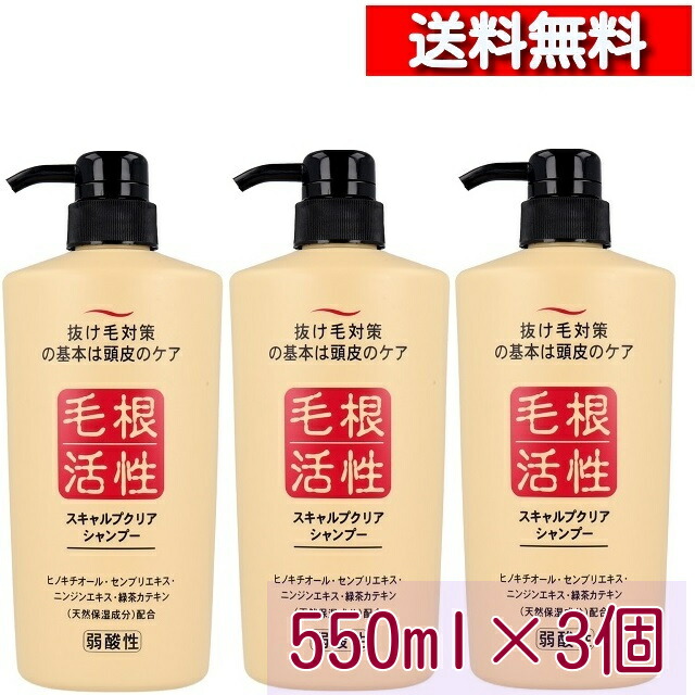 楽天市場】根活性成 スキャルプクリア シャンプー 550mL [1-6本