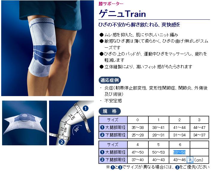 楽天市場】BAUERFEIND バウアーファインド ゲニュTrain 膝サポーター