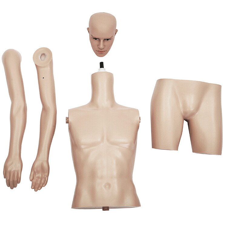 楽天市場】ひざ上トルソー メンズ 高さ115cm 【Y体】 B98×W76×H94cm