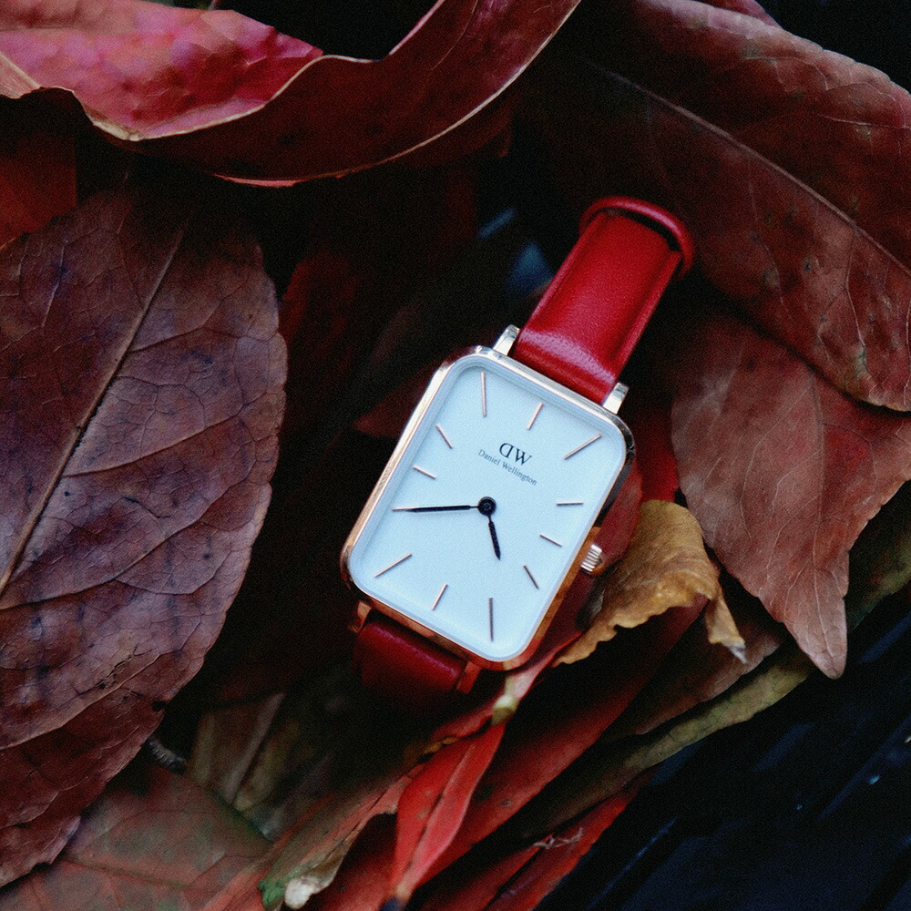 楽天市場】＼MAX 50%OFF SALE／腕時計 レディース ダニエル