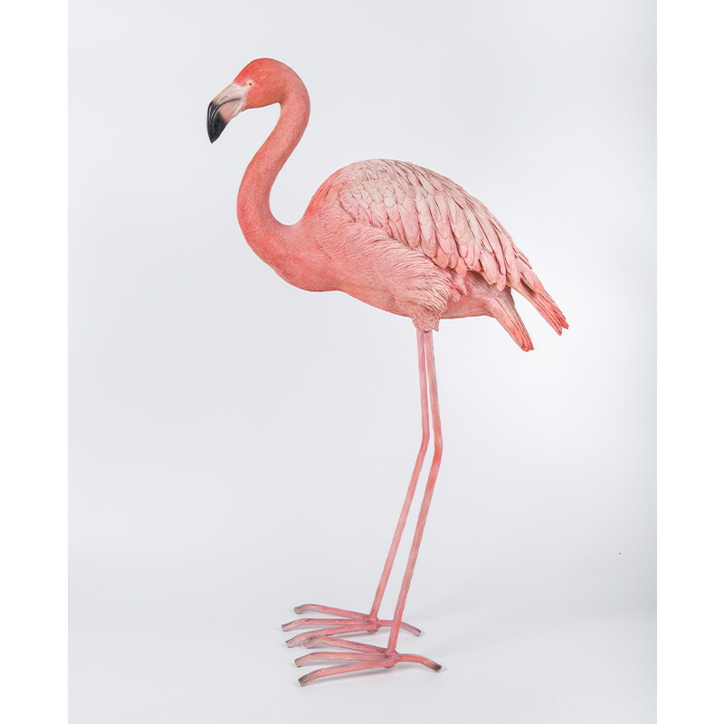 楽天市場】フラミンゴ 鳥 オーナメント ガーデンオーナメント 置物