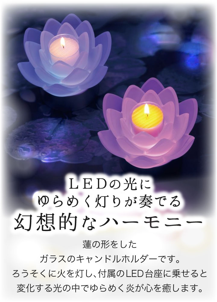 楽天市場】仏具 お供え ロータスグレイス DX LED ライト コースター 蓮