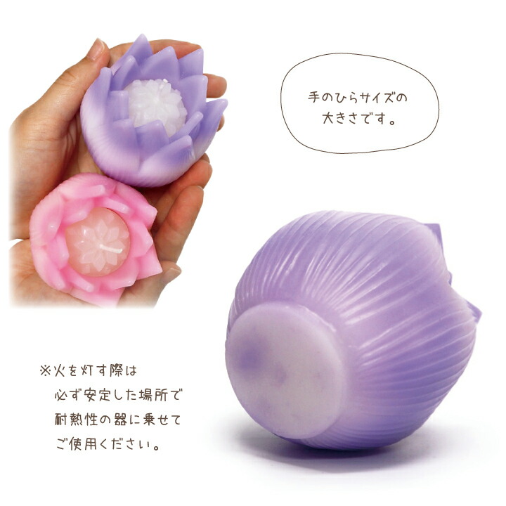楽天市場】キャンドル リリィ Lily 睡蓮 単品 【器は付属しません