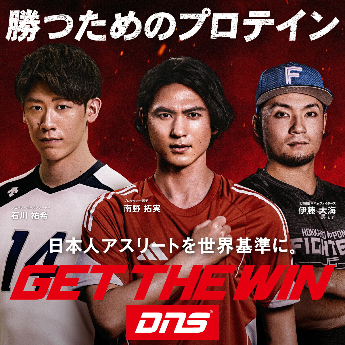 楽天市場】【25%OFF！11日1:59まで】クレアチン モノハイドレート