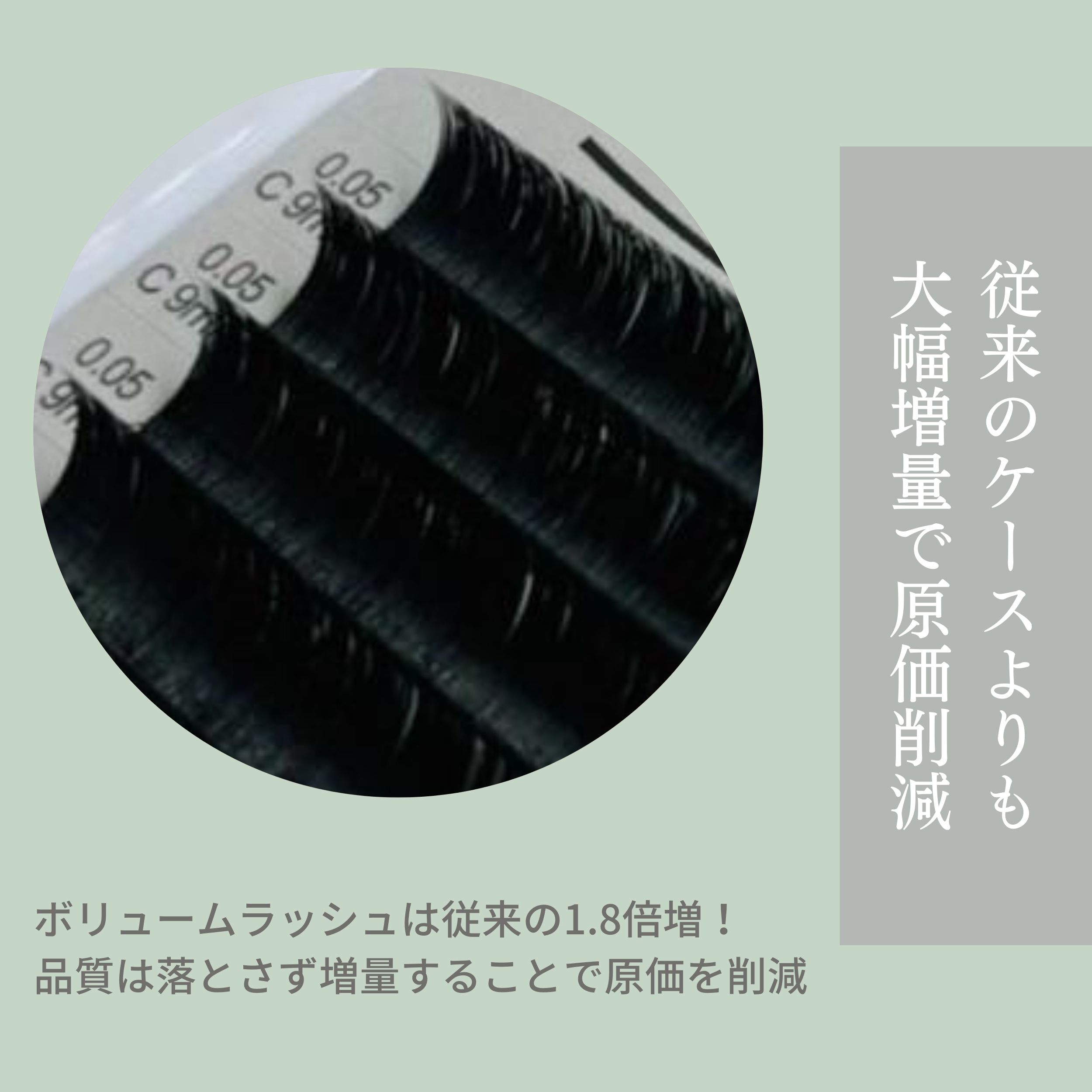 楽天市場】ボリュームラッシュ フラットラッシュ【PERRY LASH】 まつげ