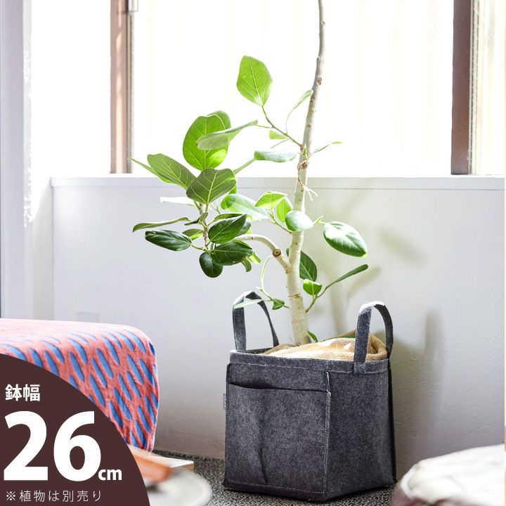 楽天市場】バッグ職人がプロデュースした鉢カバー□26cm×高さ32cm