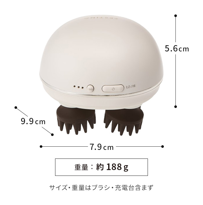 楽天市場】【5日限定 最大100％ポイントバック 】【楽天1位】 FESTINO