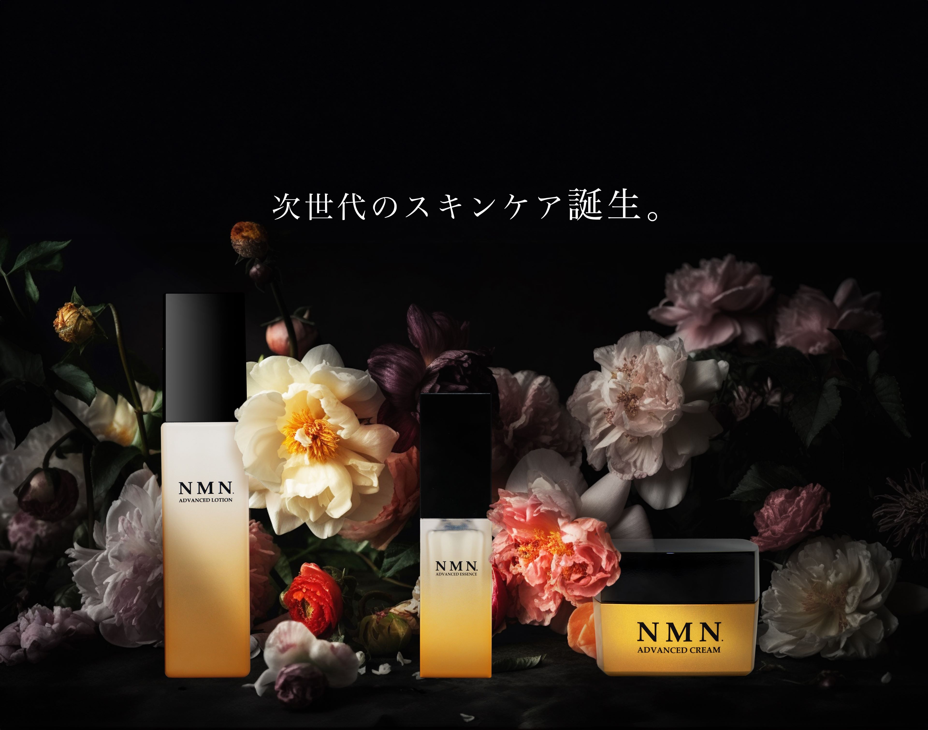 楽天市場】NMN モイスチャー クリーム 30g (8070) エイジングケア