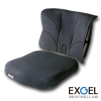 楽天市場】 車椅子・介護用 : エクスジェルシーティングラボ