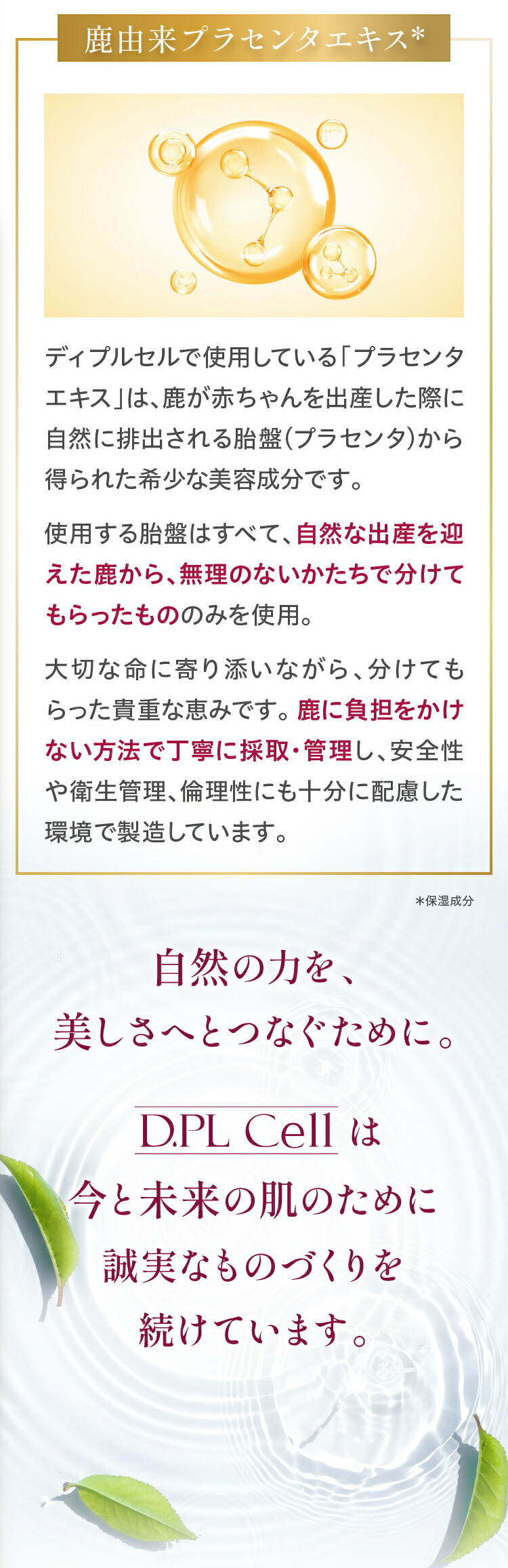 楽天市場】ディプルセル DPL D.PL Cell UV栄養クリーム 50ml UV