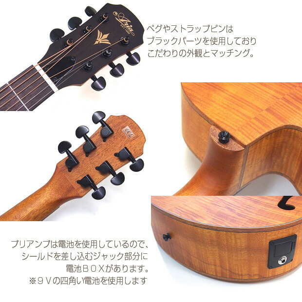 楽天市場】エレアコ アリア ARIA FET-F2 アコギ スタート 初心者 12点