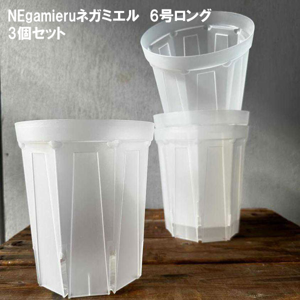 鉢 6号 スリット鉢」の人気商品一覧 | 安い商品を通販サイトから探す