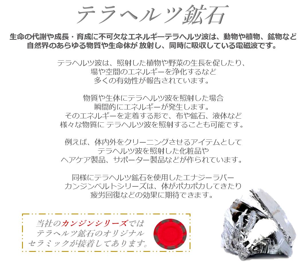 楽天市場】[公式] カンジン両肩サポート【KB-11】【ポイント10倍