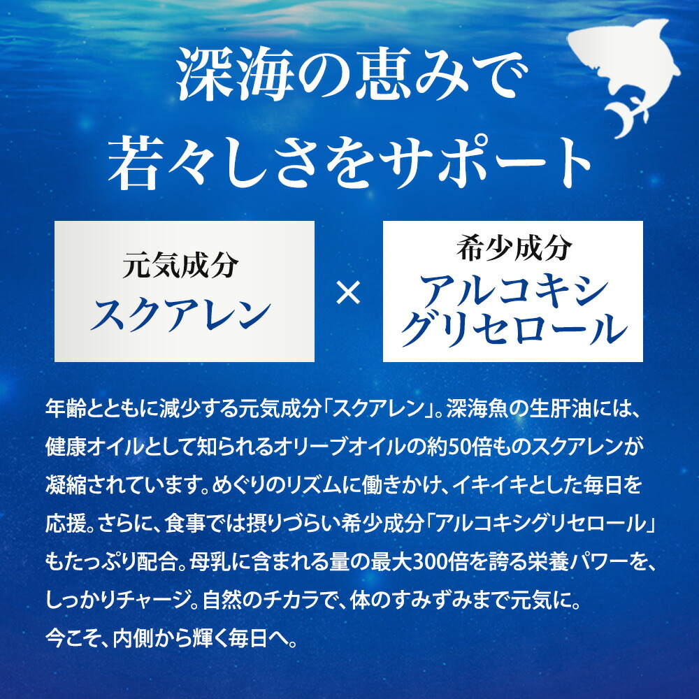 楽天市場】【楽天スーパーSALE☆28時間限定クーポン＆全品ポイント2倍