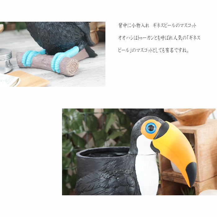 楽天市場】フィギュア オオハシ 傘立て トゥーカン 置物 模型 ボトル