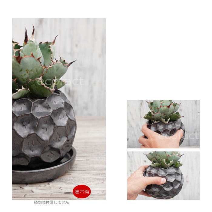 楽天市場】陶器鉢 植木鉢 ミニポット 皿付 ソルロックM メタル （焼鉄