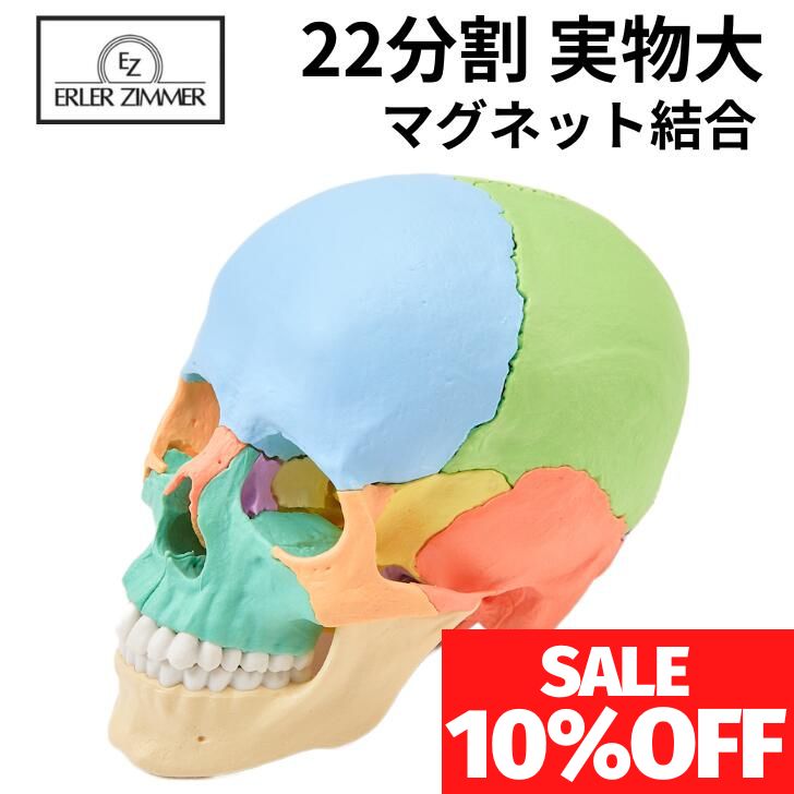 楽天市場】【要エントリー！100%ポイントバックチャンス】Erler Zimmer