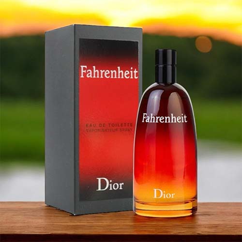 楽天市場】【マラソン当店最大15倍】クリスチャンディオール CHRISTIAN