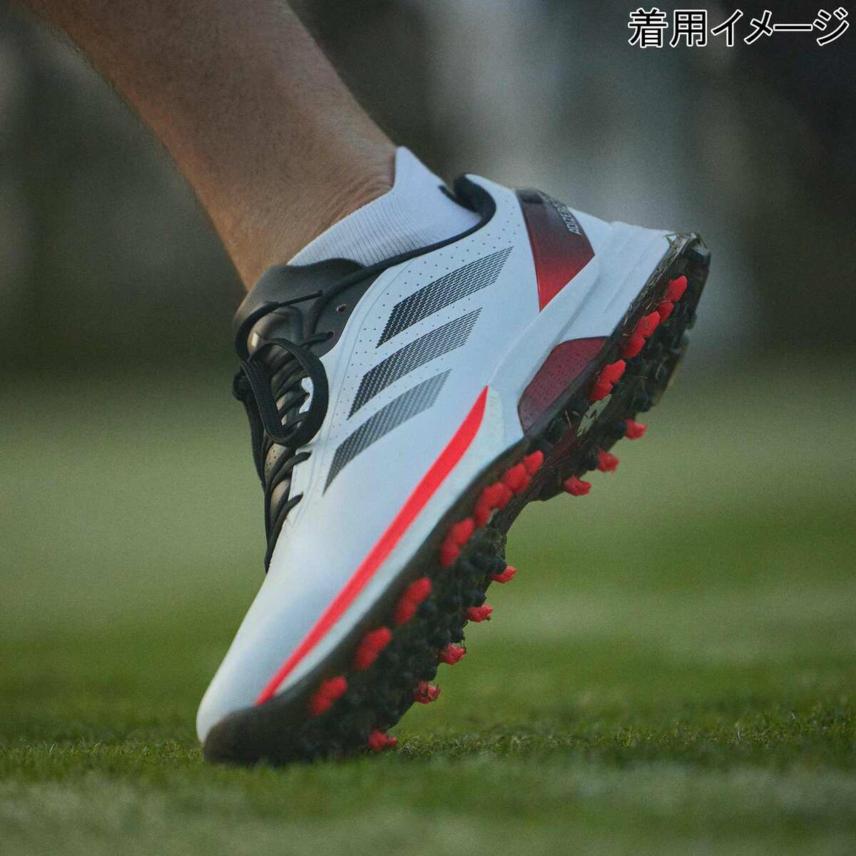 楽天市場】アディダスゴルフ adidas Golf メンズ ゴルフシューズ