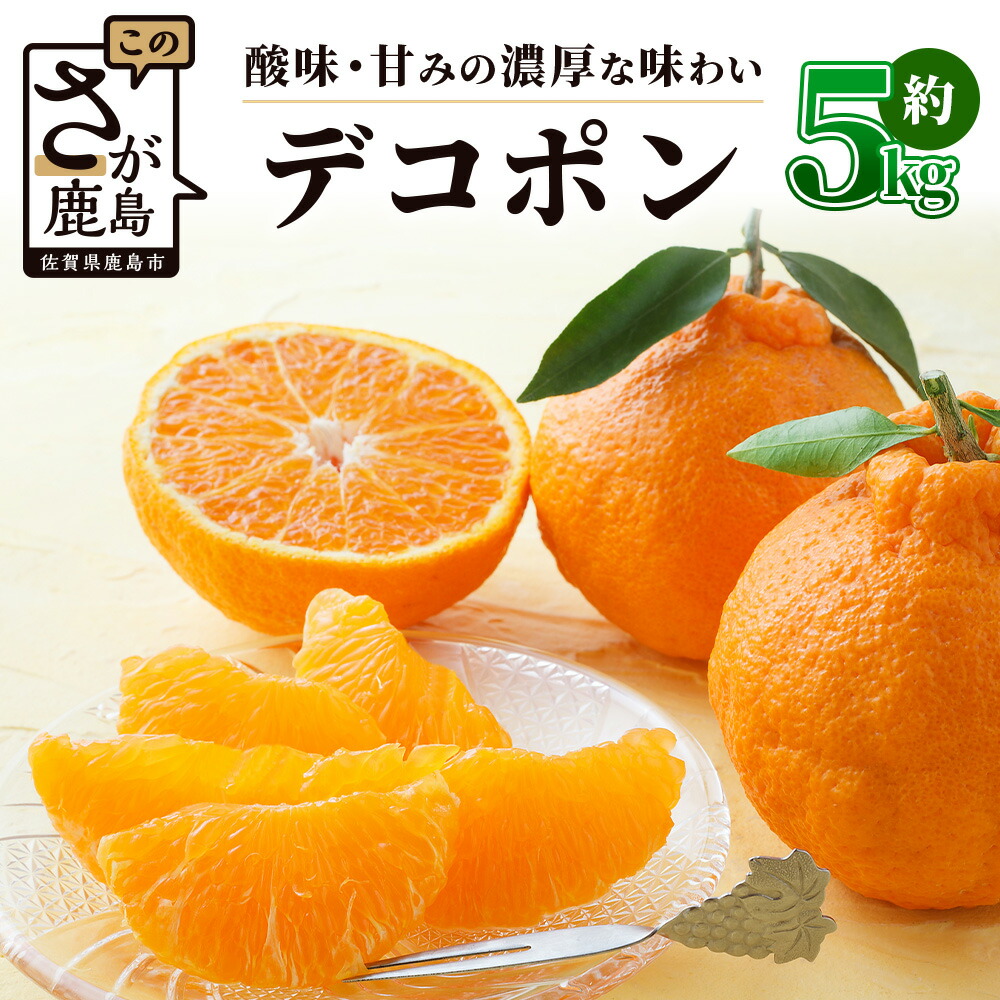 楽天市場】【ふるさと納税】《予約受付》デコポン 5kg | ふるさと納税