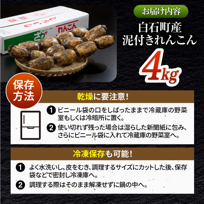 楽天市場】【ふるさと納税】【2026年1月以降発送】白石町産 泥付き