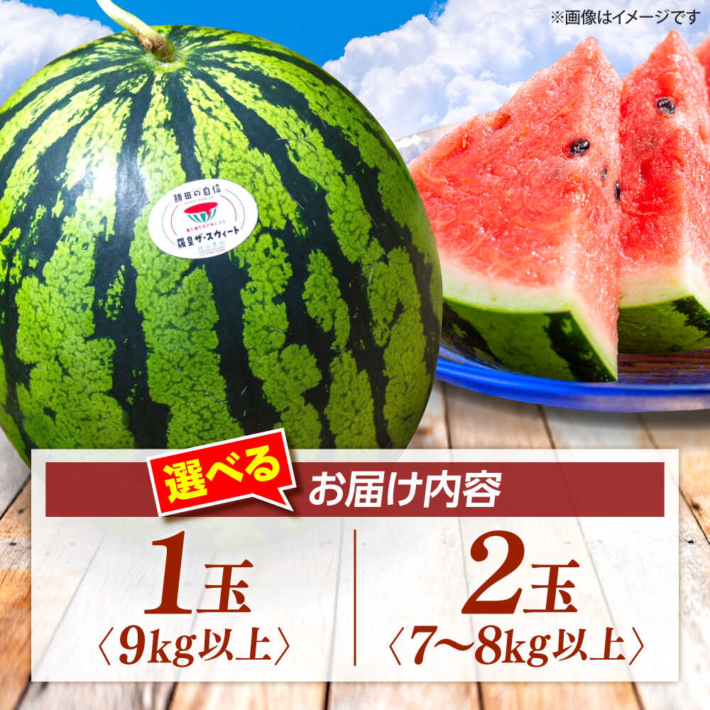 楽天市場】【ふるさと納税】すいか 【先行予約：2026年6月下旬より配送