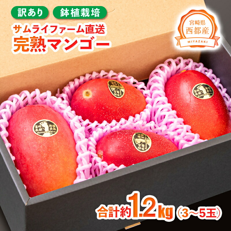 楽天市場】【ふるさと納税】『訳あり』宮崎完熟マンゴー3〜5玉（約1.2