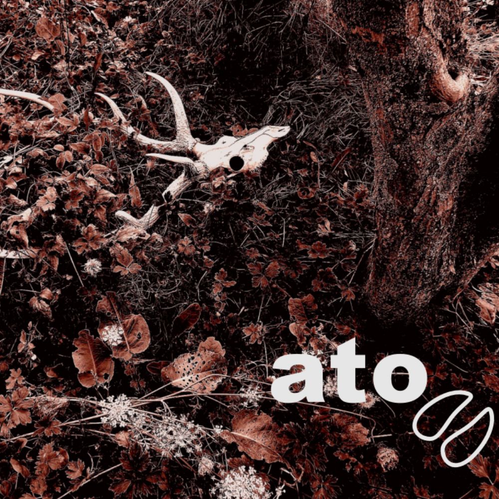 楽天市場】【ふるさと納税】150-45 蝦夷鹿角スマホスタンド【鹿角